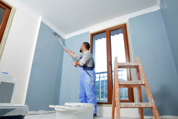 Reliable Eagle Lake, MN Dry wall and painting Solutions